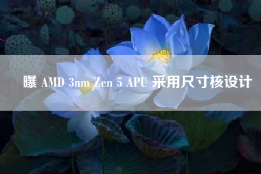 曝 AMD 3nm Zen 5 APU 采用尺寸核设计