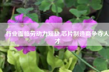 行业面临劳动力短缺,芯片制造商争夺人才