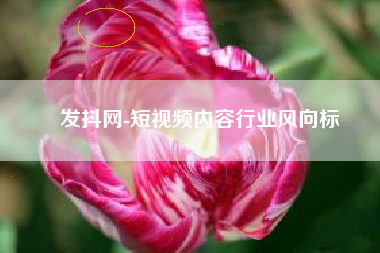 发抖网-短视频内容行业风向标
