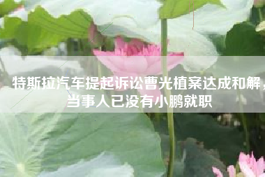 特斯拉汽车提起诉讼曹光植案达成和解，当事人已没有小鹏就职