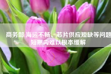 商务部:海运不畅、芯片供应短缺等问题短期内难以根本缓解