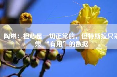 陶琳：担心是一切正常的，但特斯拉只采集 “有用”的数据