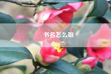 书名怎么取