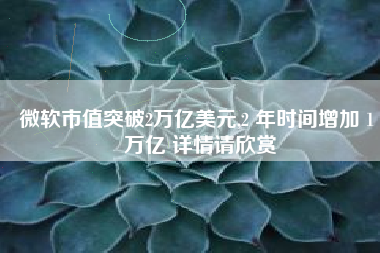 微软市值突破2万亿美元,2 年时间增加 1 万亿 详情请欣赏