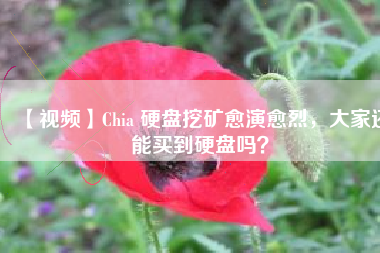 【视频】Chia 硬盘挖矿愈演愈烈，大家还能买到硬盘吗？