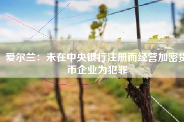 爱尔兰：未在中央银行注册而经营加密货币企业为犯罪