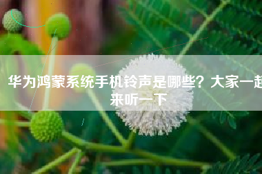 华为鸿蒙系统手机铃声是哪些？大家一起来听一下