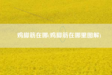 鸡脚筋在哪(鸡脚筋在哪里图解)