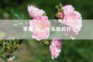 苹果 AR / VR 头显将在 8