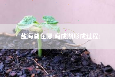 盐海湖在哪(海成湖形成过程)