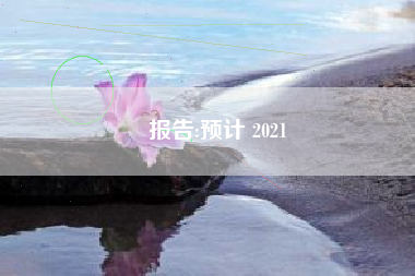 报告:预计 2021