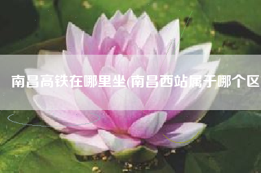 南昌高铁在哪里坐(南昌西站属于哪个区)