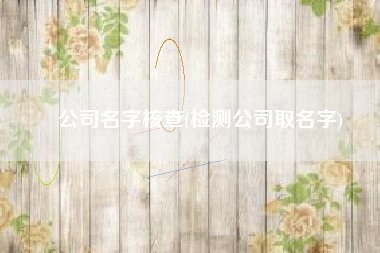 公司名字核查(检测公司取名字)