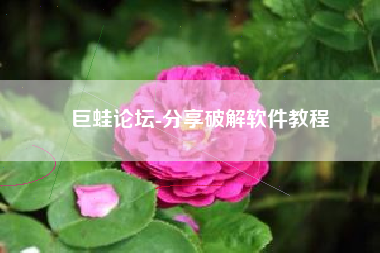 巨蛙论坛-分享破解软件教程