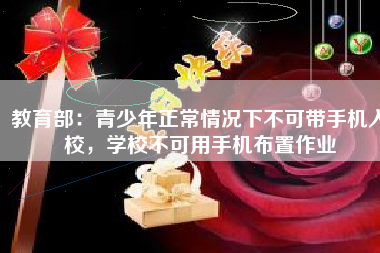 教育部：青少年正常情况下不可带手机入校，学校不可用手机布置作业