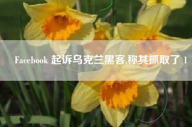 Facebook 起诉乌克兰黑客,称其抓取了 1