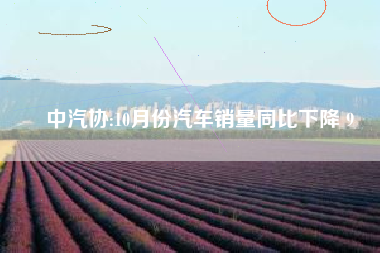 中汽协:10月份汽车销量同比下降 9