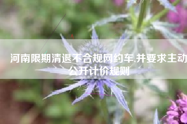 河南限期清退不合规网约车,并要求主动公开计价规则