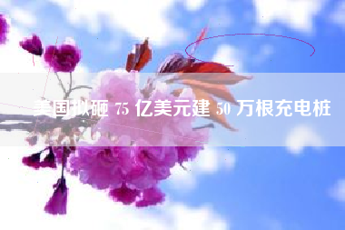 美国拟砸 75 亿美元建 50 万根充电桩