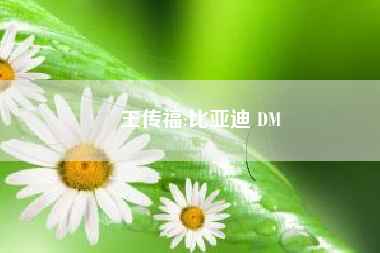 王传福:比亚迪 DM