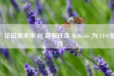 法拉第未来 FF 宣布任命 McBride 为 CFO:期待