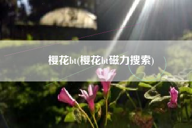 樱花bt(樱花bt磁力搜索)