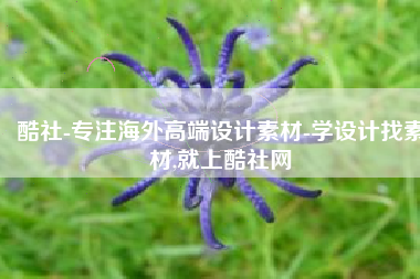 酷社-专注海外高端设计素材-学设计找素材,就上酷社网