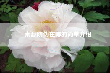素瑟防伪在哪的简单介绍