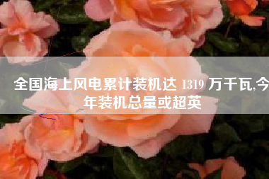 全国海上风电累计装机达 1319 万千瓦,今年装机总量或超英