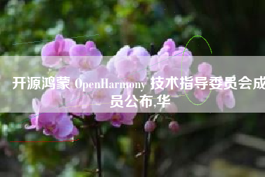 开源鸿蒙 OpenHarmony 技术指导委员会成员公布,华