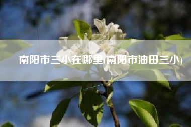 南阳市三小在哪里(南阳市油田三小)