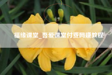 福缘课堂_吾爱课堂付费网赚教程