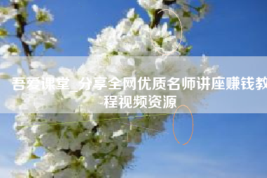 吾爱课堂_分享全网优质名师讲座赚钱教程视频资源