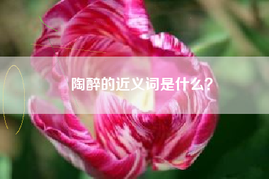 陶醉的近义词是什么？