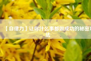 【自律力】让你什么事都做成功的秘密方法