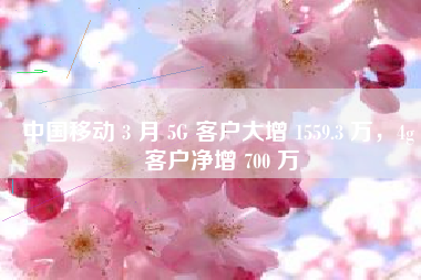 中国移动 3 月 5G 客户大增 1559.3 万，4g 客户净增 700 万