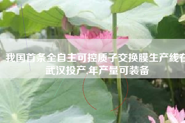 我国首条全自主可控质子交换膜生产线在武汉投产,年产量可装备