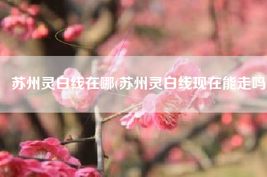 苏州灵白线在哪(苏州灵白线现在能走吗)