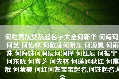 何姓男孩女孩起名字大全何新华 何海珂 何艺 何佑林 何歆凌何明东 何源昊 何雨姝 何海姝何润辰何润择 何钰辰 何振宁 何东晓 何睿芝 何先林 何瑾涵秋红 何嫦娥 何莹美 何红何姓宝宝起名,何姓起名大全