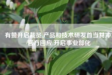 有赞开启裁员,产品和技术研发首当其冲?官方回应:开启事业部化