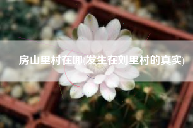 房山里村在哪(发生在刘里村的真实)