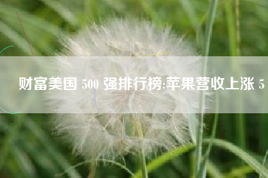 财富美国 500 强排行榜:苹果营收上涨 5