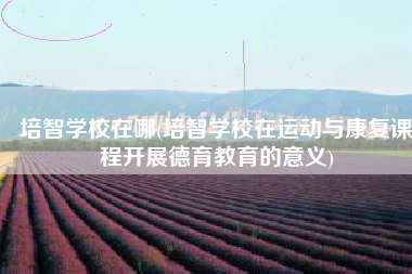 培智学校在哪(培智学校在运动与康复课程开展德育教育的意义)
