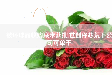 被环球晶收购案未获批,世创称芯荒下公司可单干