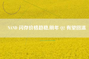 NAND 闪存价格趋稳,明年 Q2 有望回温