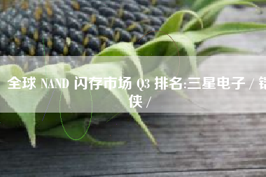 全球 NAND 闪存市场 Q3 排名:三星电子 / 铠侠 /