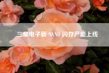 三星电子新 NAND 闪存产能上线