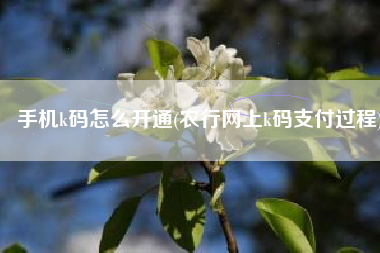 手机k码怎么开通(农行网上k码支付过程)