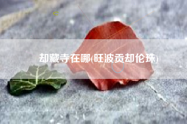 却藏寺在哪(旺波贡却伦珠)