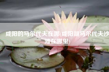 咸阳的马尔代夫在哪(咸阳湖马尔代夫沙滩在哪里)